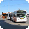 Ventura buses in PTV livery